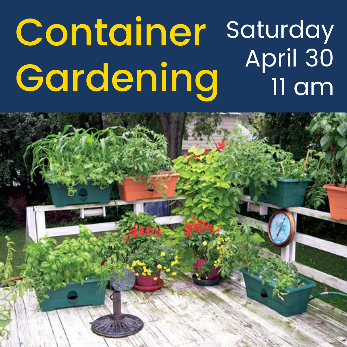 Container Gardening   Mary Riley Styles Public Library