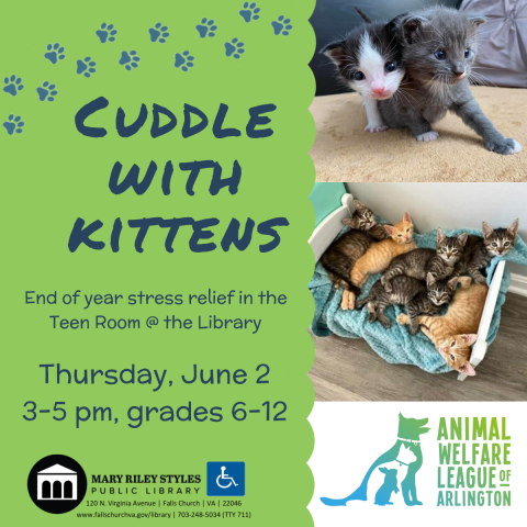 Thursday, June 2 Cuddle with kittens